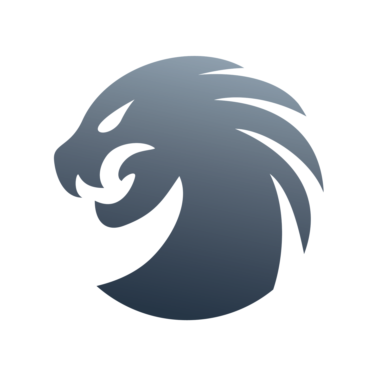 Hydra Tool  Rent ( Digital ) 24 -Hours